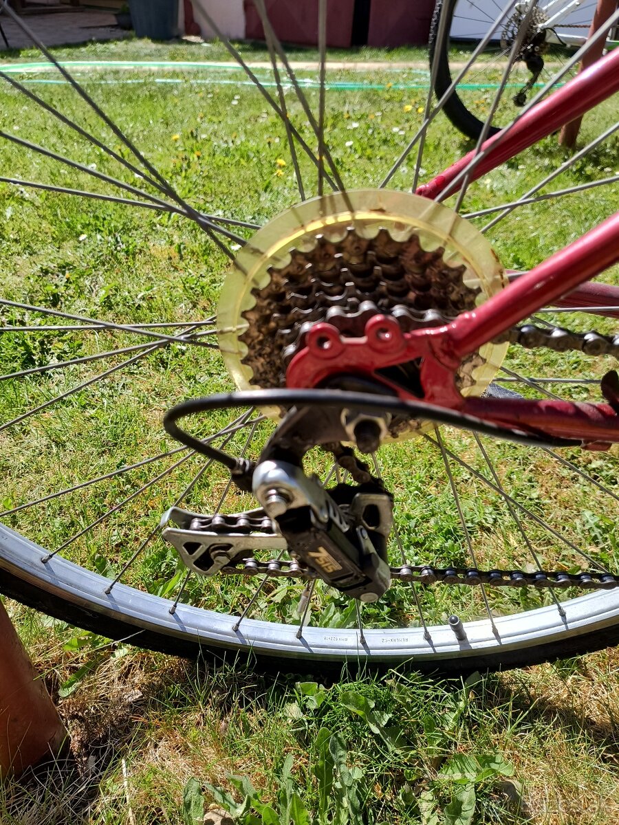 dámsky bicykel Vector Cobra - 2