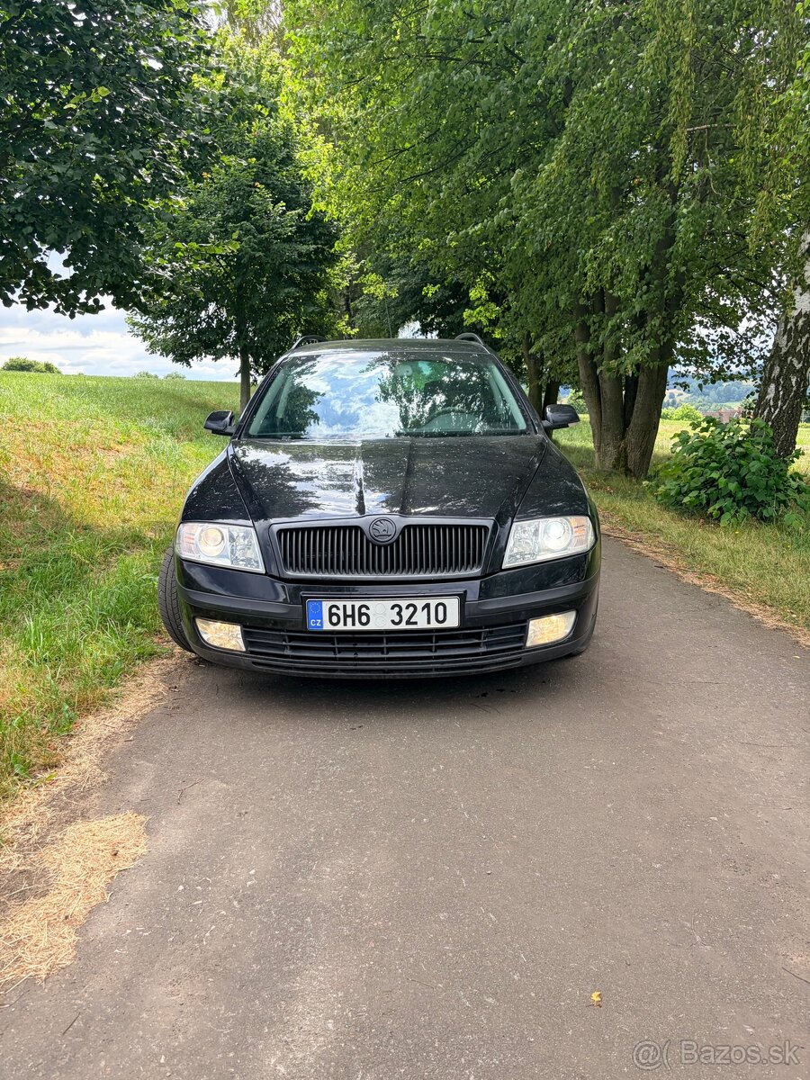Škoda Octavia 2 1.9 TDI BLS DPF off - 2