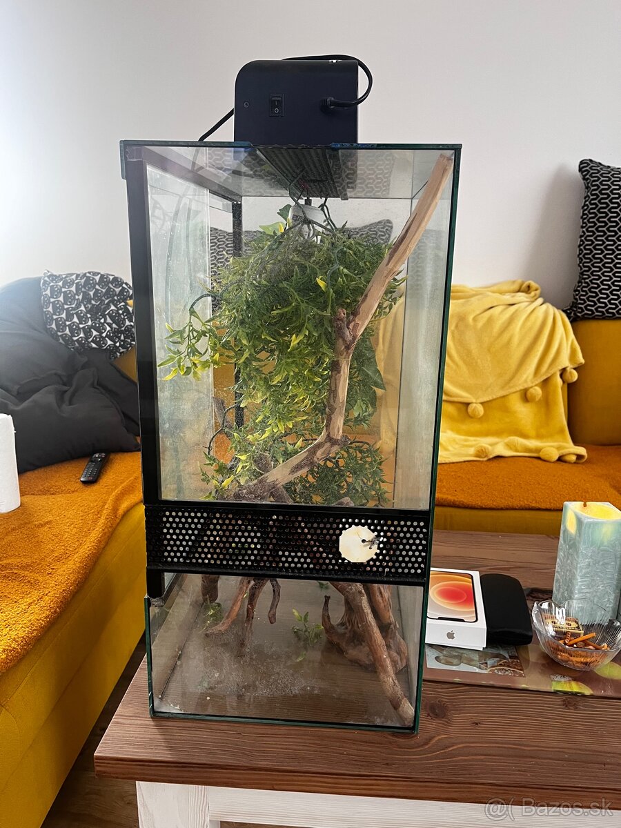 Terárium - 2