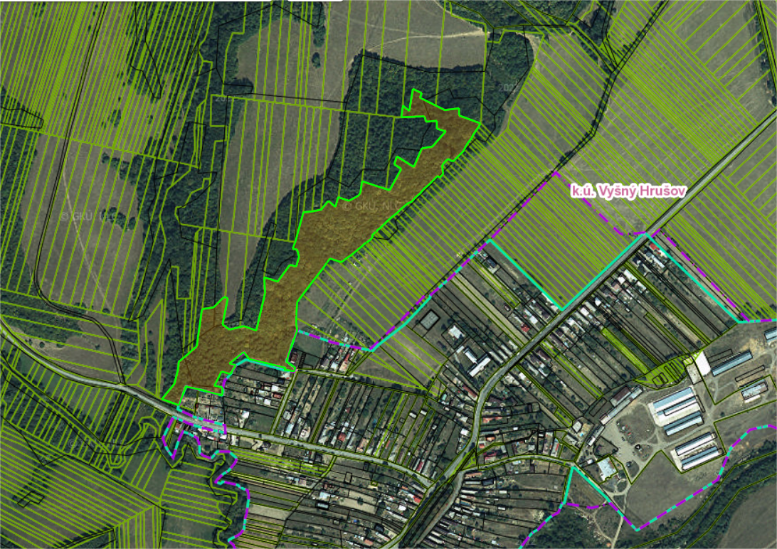 Predám Lesy a TTP v obci Vyšný Hrušov (PARCELA E 732/2) - 2