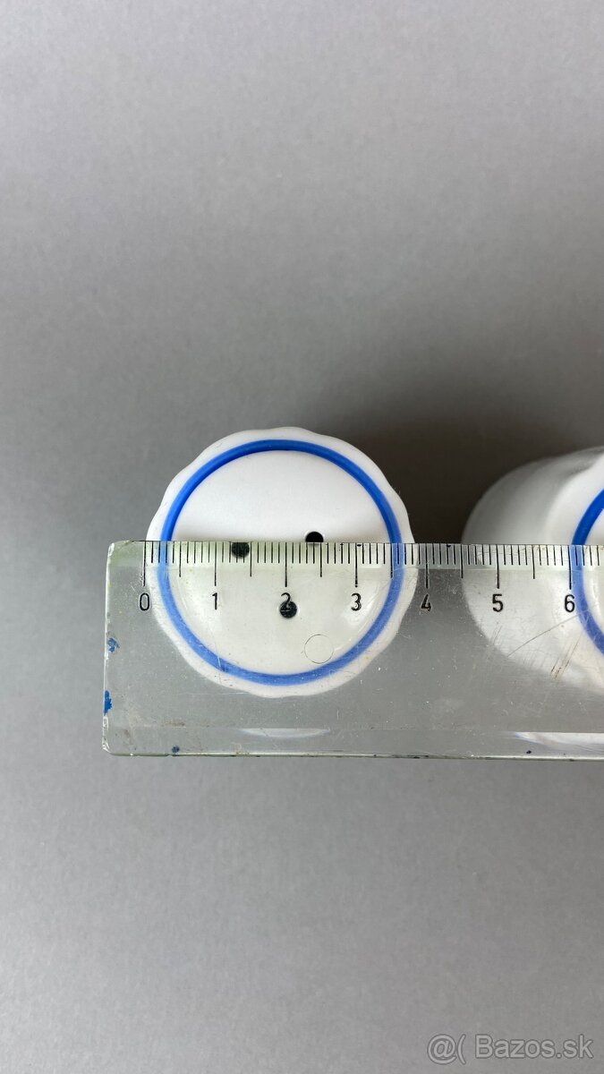 korenicka husy s modrou linkou, Moritz Zdekauer - 2