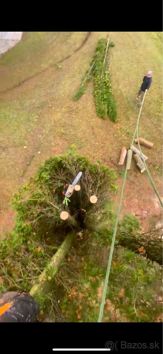 Výrub nebezpečných,rizikových stromov - 2