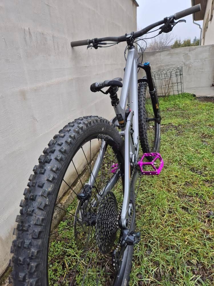 Transition Sentinel AL GX - 2