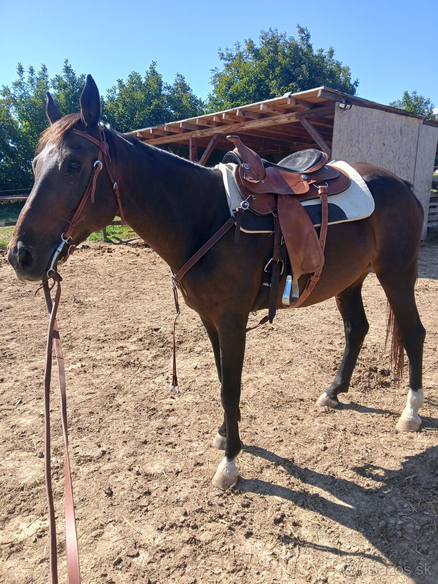 Westernové sedlo - 2