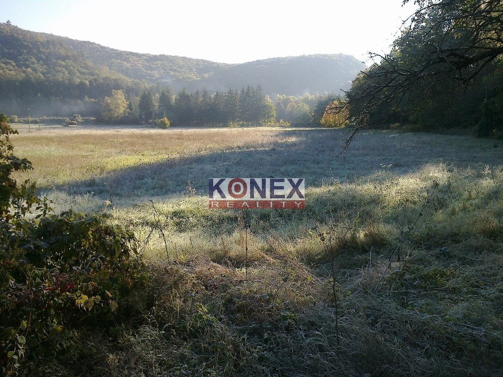 Pozemky v obci Ptičie, 3 km od Humenného. - 2