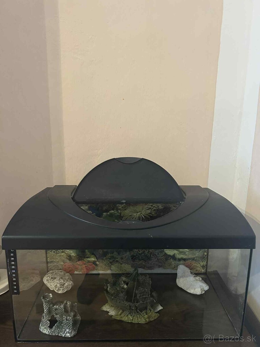 Akvarium a prislusenstvo k tomu - 2