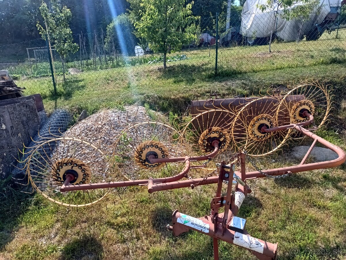 Slniečková hrabačka - 2