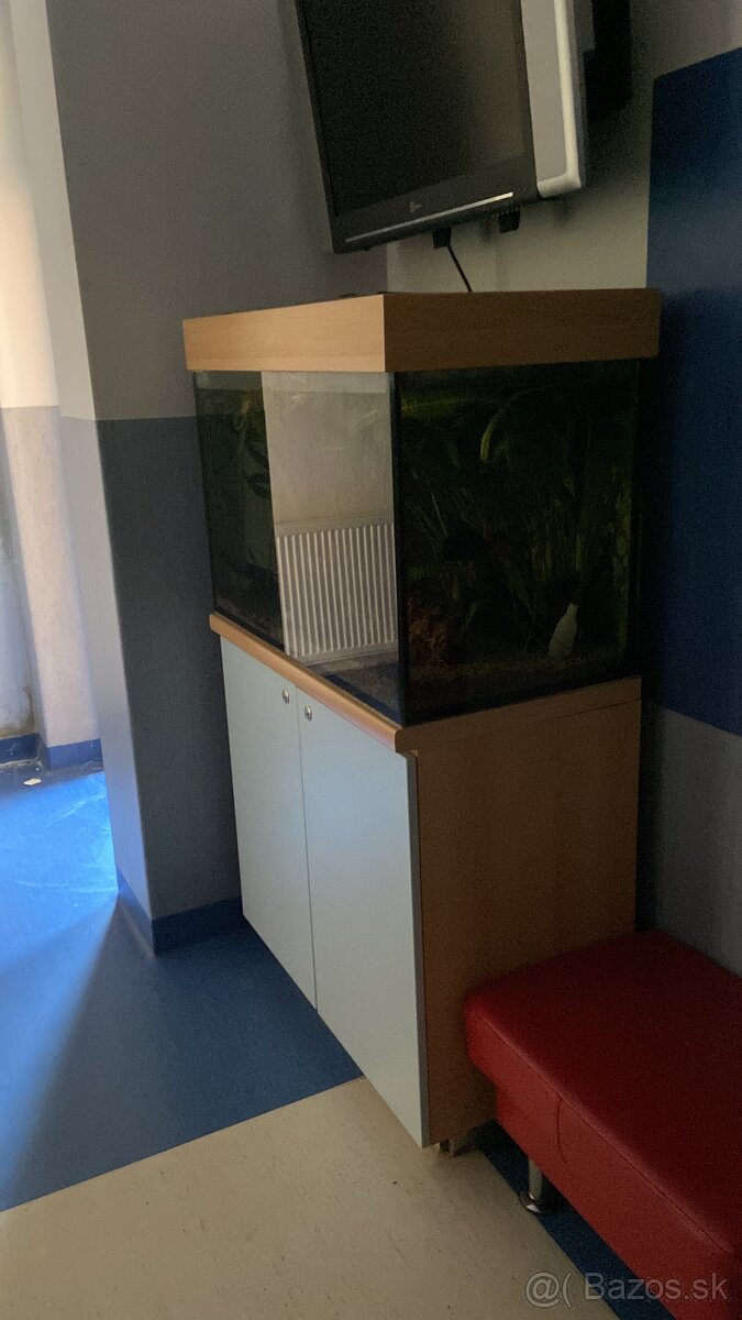 Darujeme akvárium-rezervované - 2