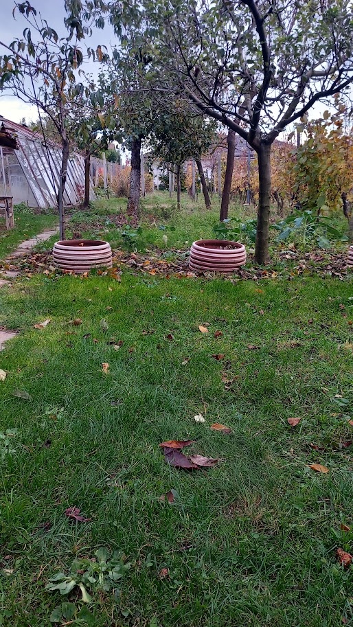 Prenajmem záhradu - 2