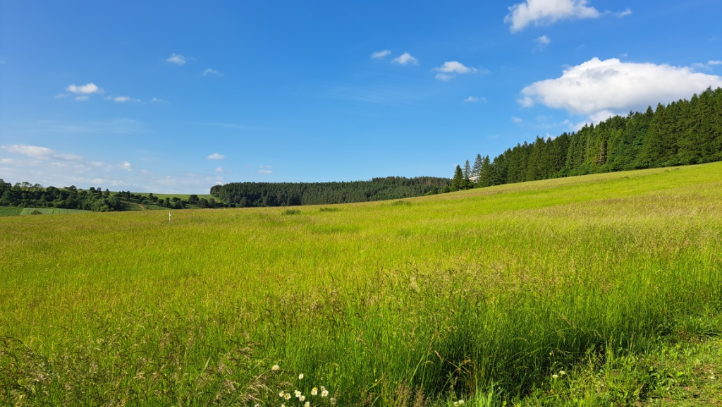 Stavebné pozemky pod Tatrami - Vlková okr. Kežmarok - 2