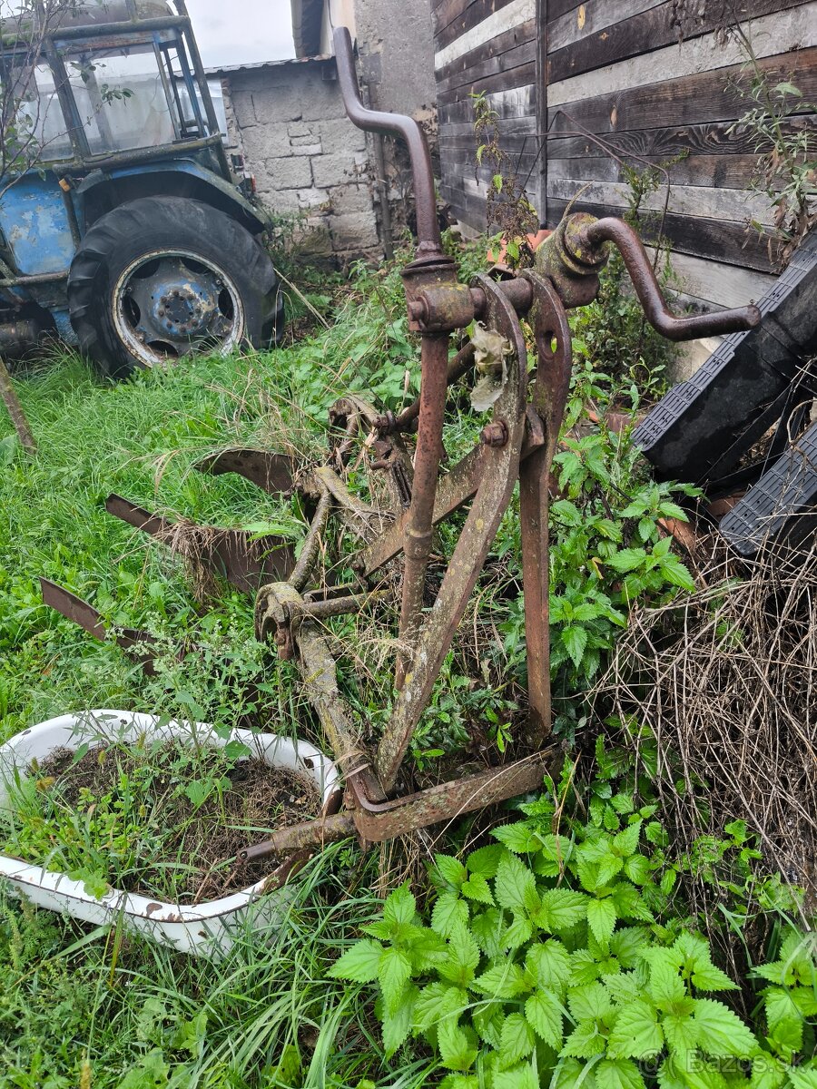 Pluh trojradličný - 2