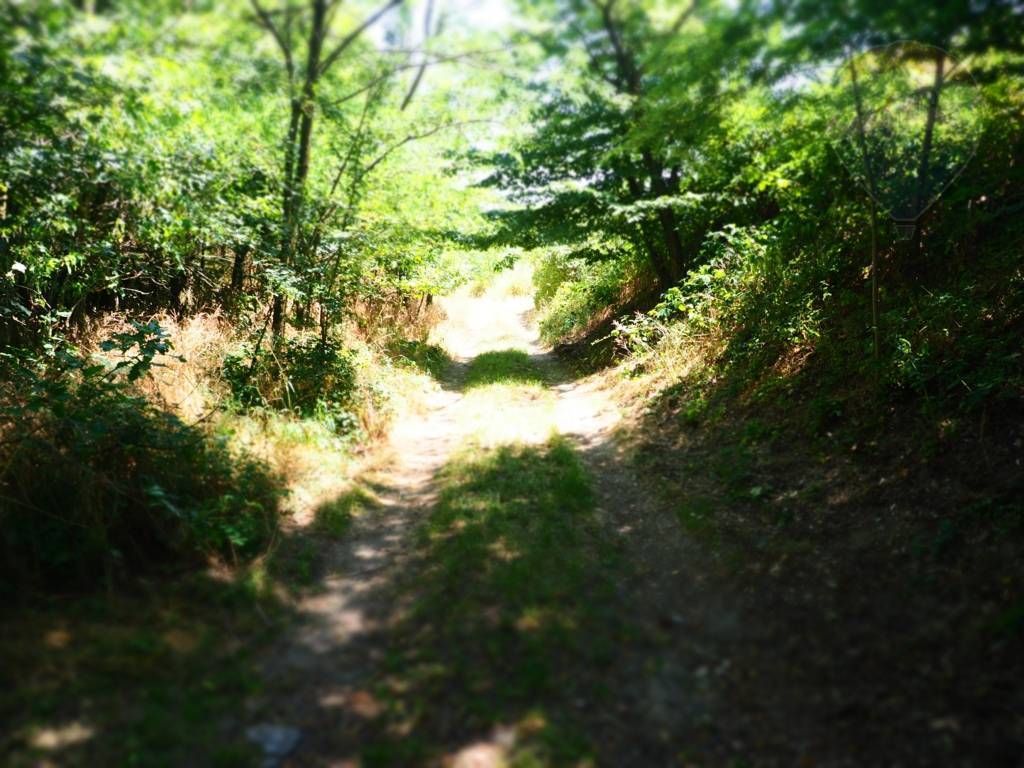 NA PREDAJ: Pozemok (rekreačný) 2033m2, ulica Stará Stupavská - 2