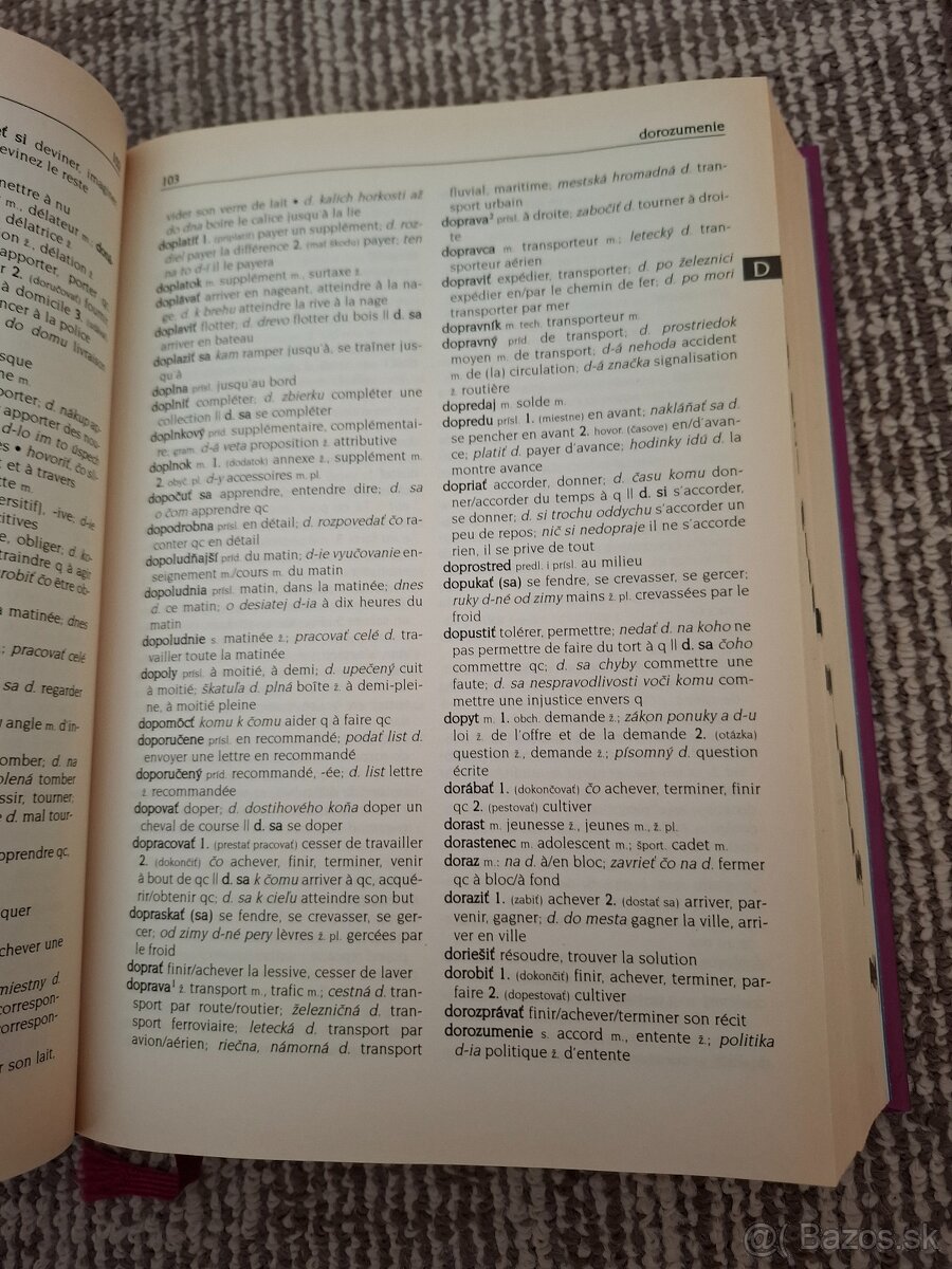 Slovensko - francúzsky slovník - 2