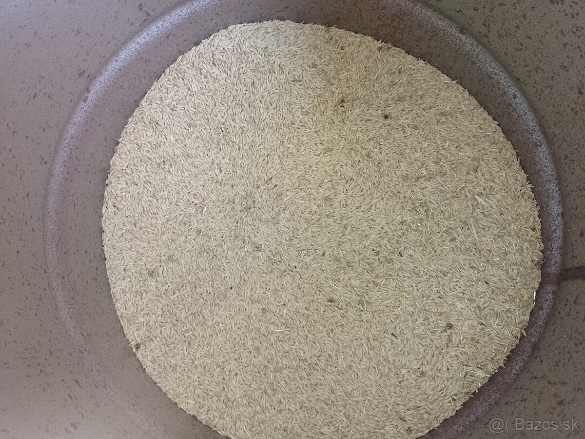 Predam pšenicu a jačmeň - 2