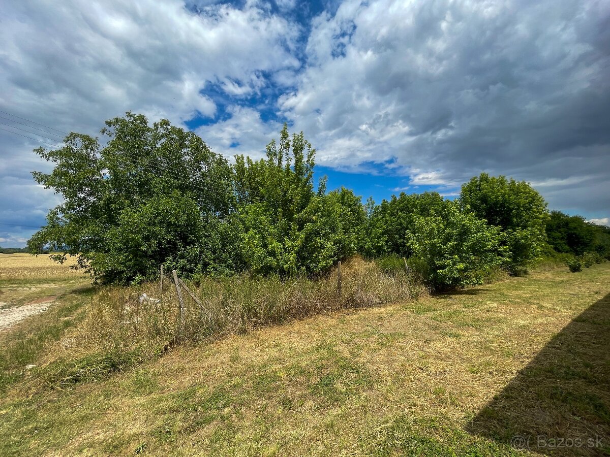 Investičný pozemok na predaj, Vráble, časť Horný Ohaj - 2