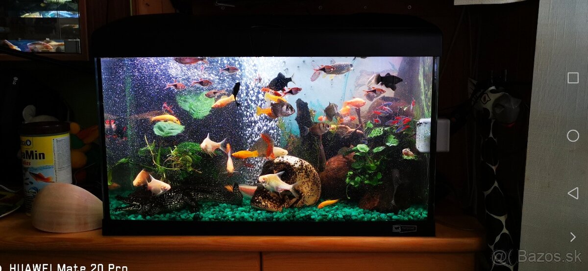 Akvárium Ferplast 60l - 2