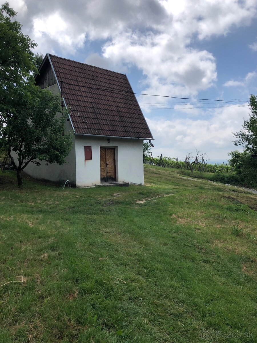 Predám pivničnú chatku - 2