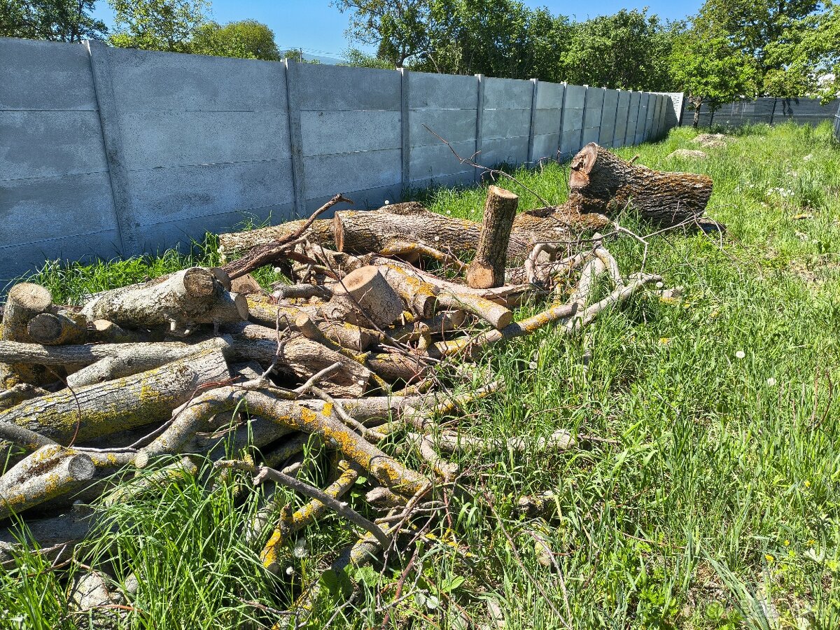 Darujem drevo - orech - 2