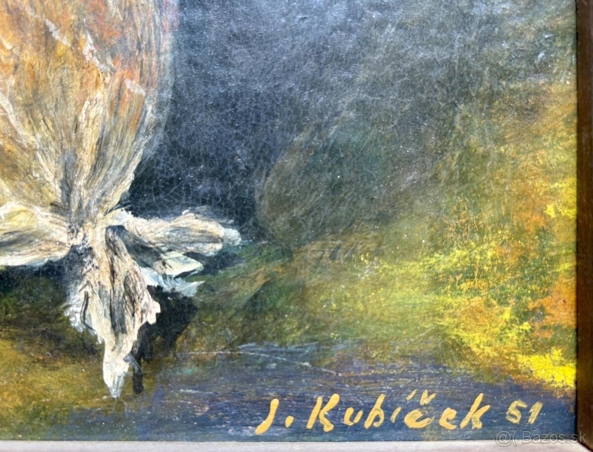 Obraz Januš Kubìček - 2