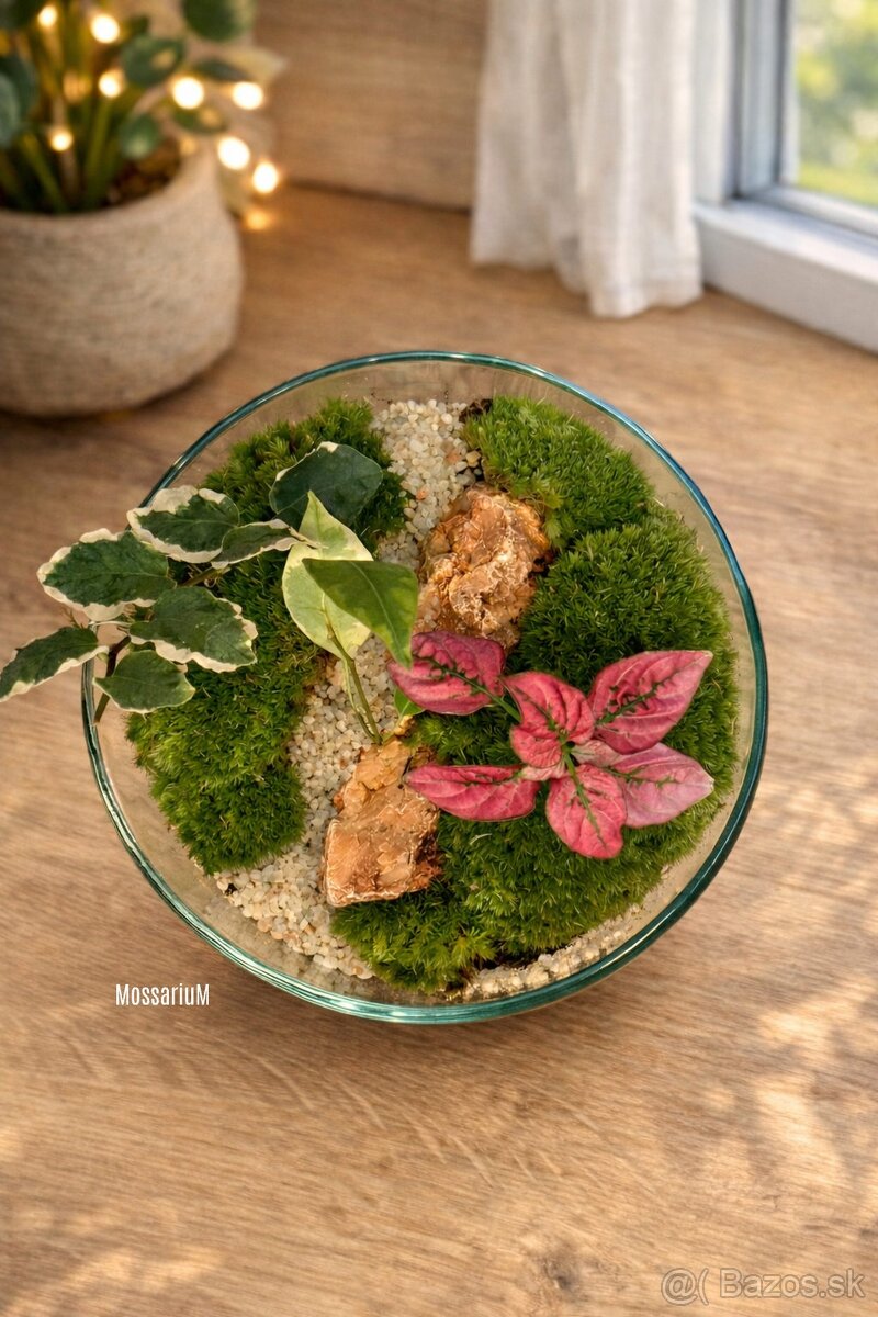 Biosféra, terrárium, rastlinné terárium - 2