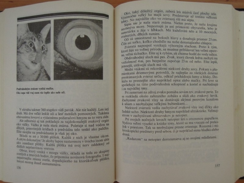 Švihran Ladislav, NAJ, NAJ, NAJ... - 2