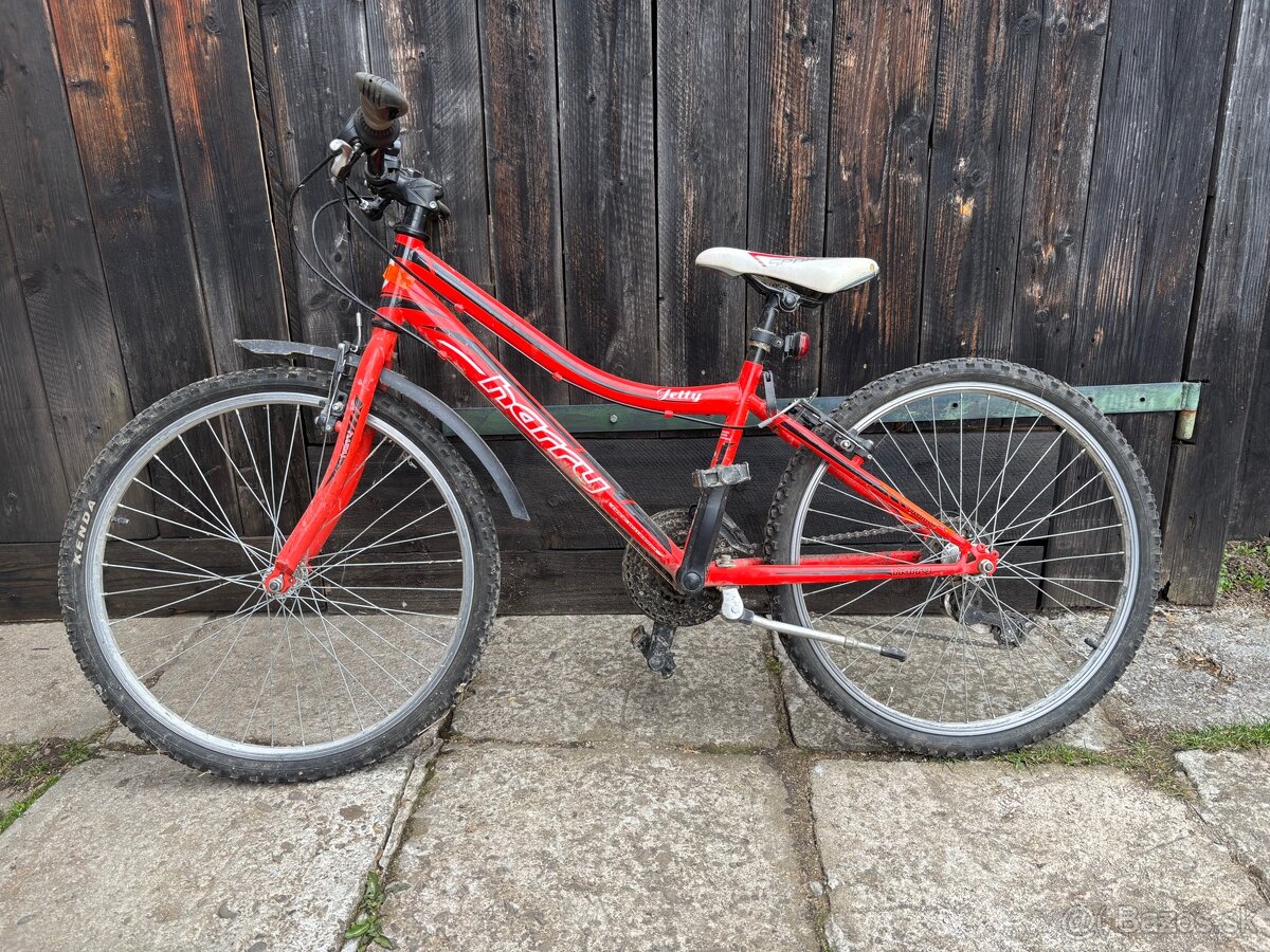 Horský bicykel - 2