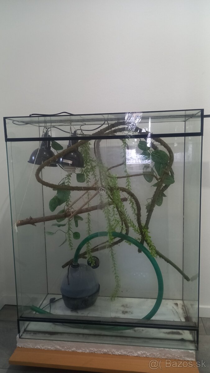 Terárium - 2