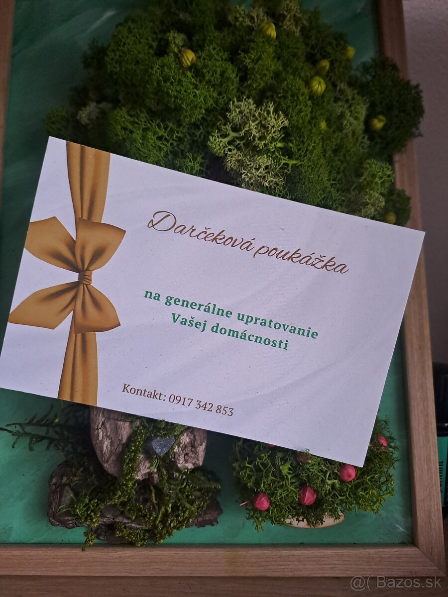 UPRATOVANIE DOMACNOSTI - 2