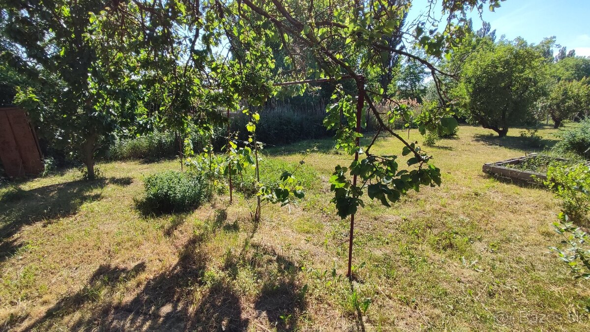 ‼️ZÁHRADA - Košice/Jazero - 361m‼️celoročný prístup‼️ - 2