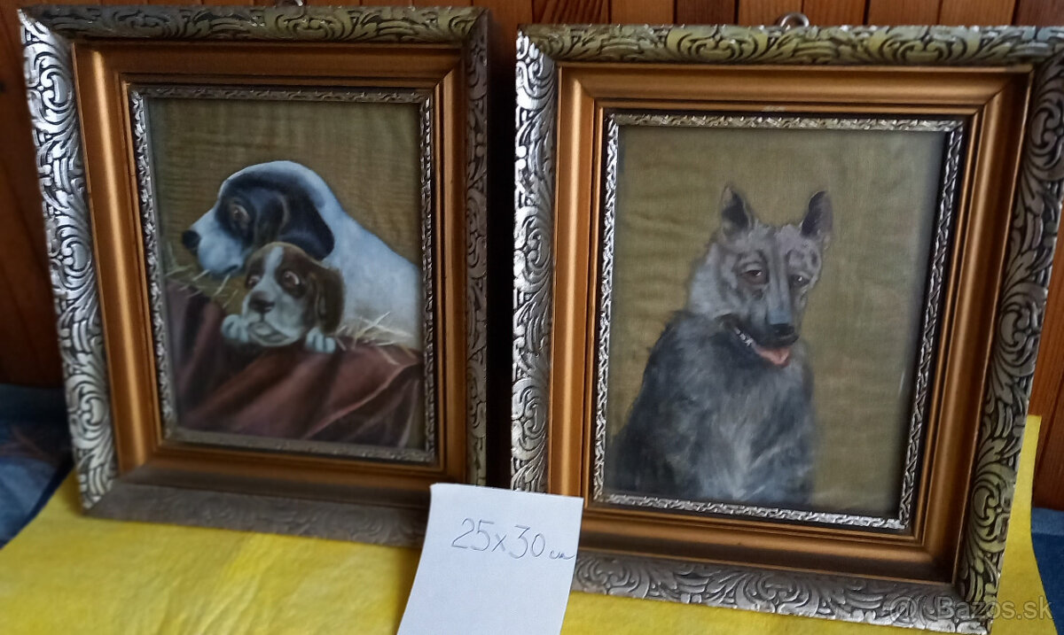 obrazy so psami - 2