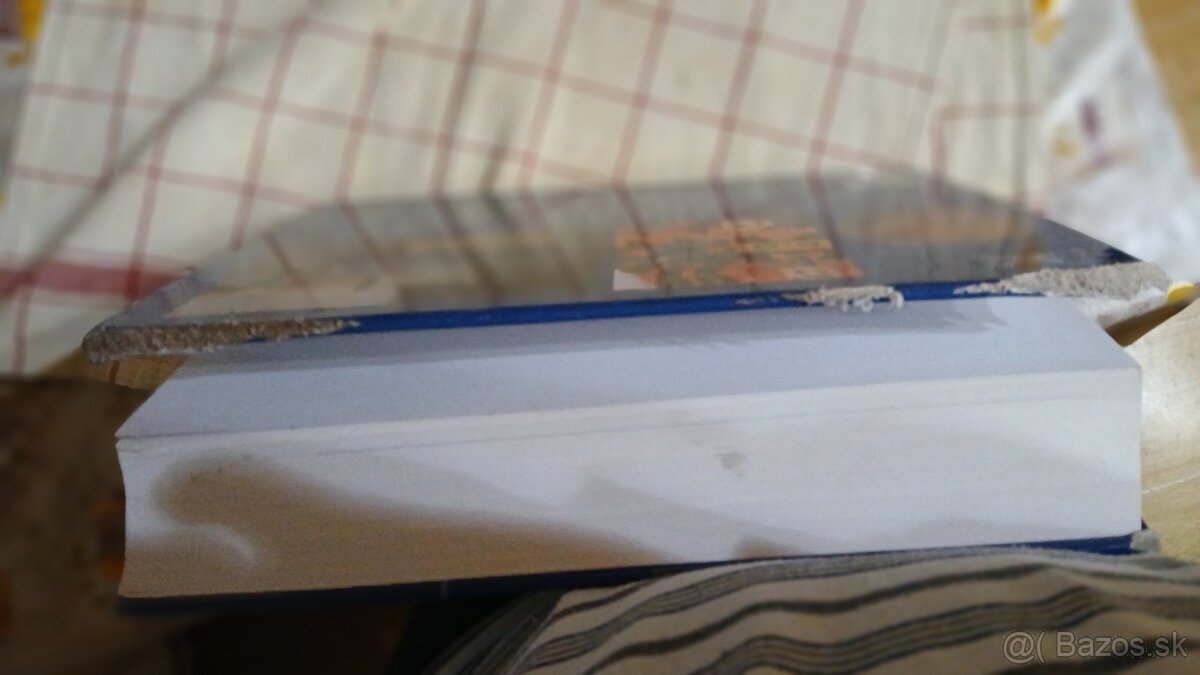 Dejiny umenia velka encyklopedia - 2