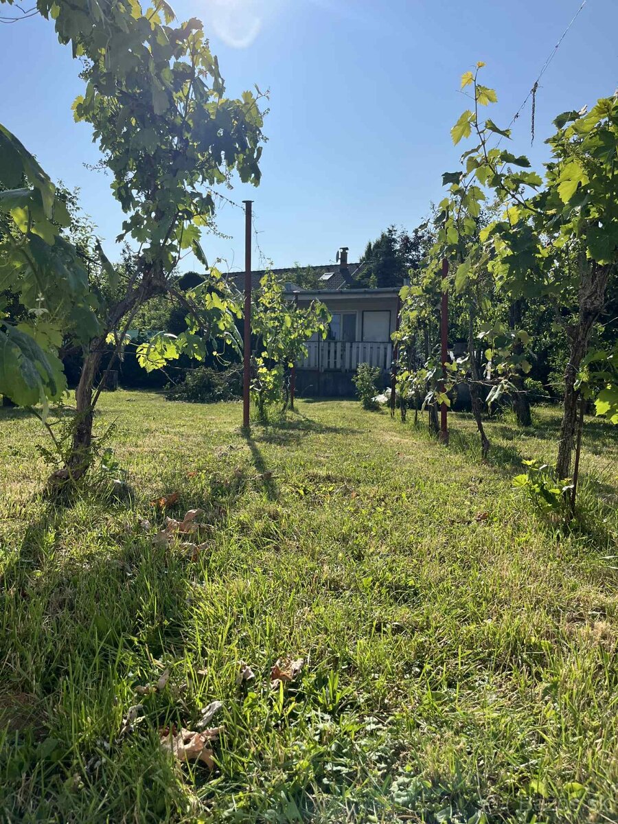 NOVÁ CENA Predaj - záhradná chatka, komplet IS v Leviciach - 2