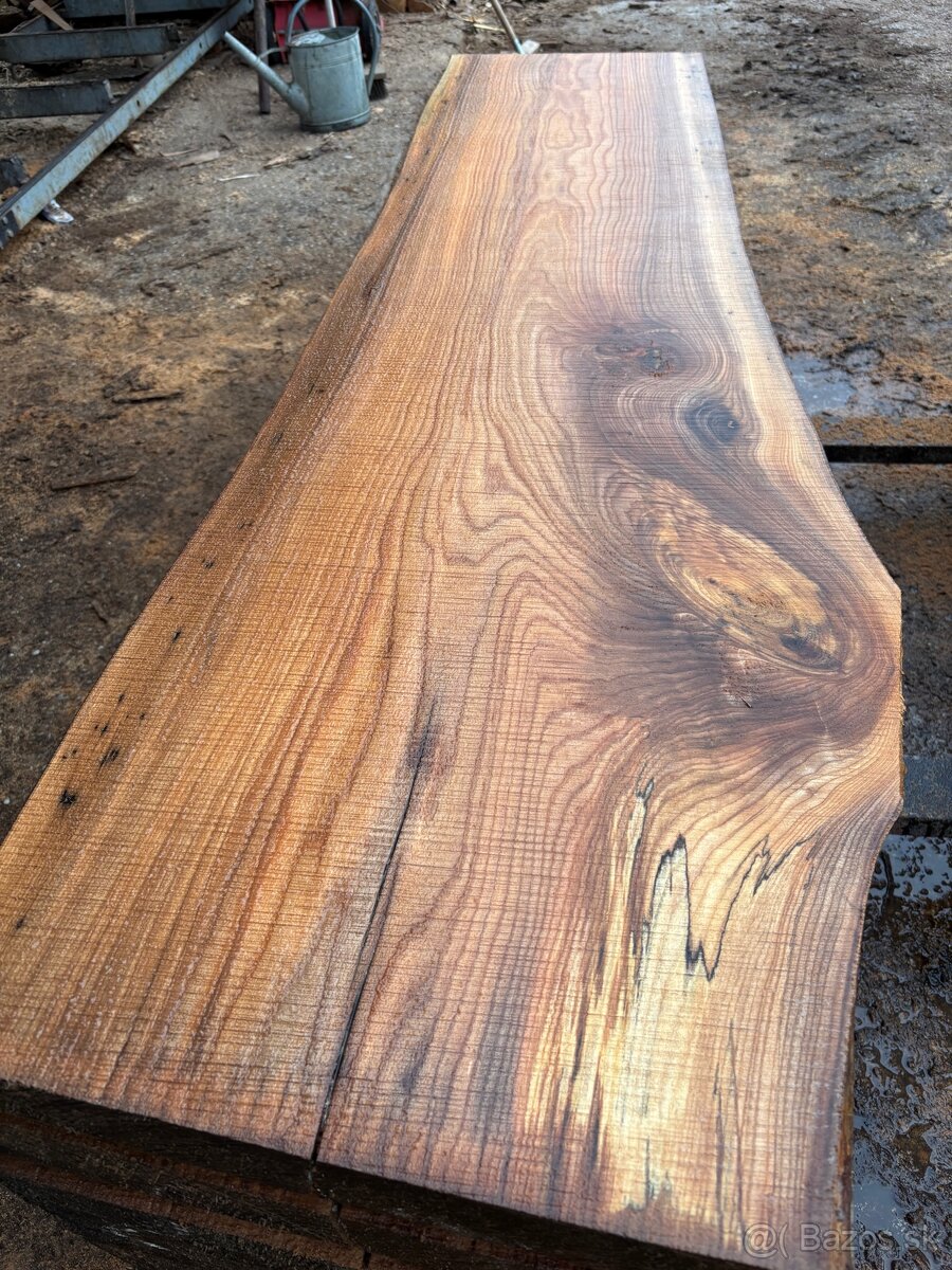 Rezivo Brest Brestove Fošne Kmene Drevo - 2