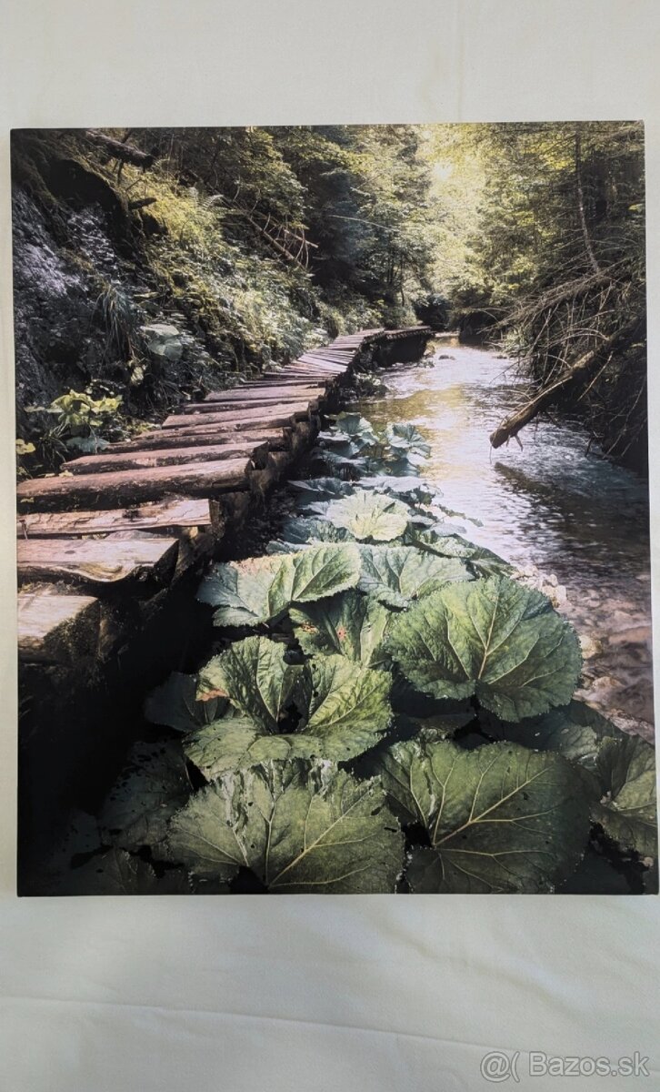 Fotoobraz zo Slovenského raja, oblasť Tomášovská Belá
- 2