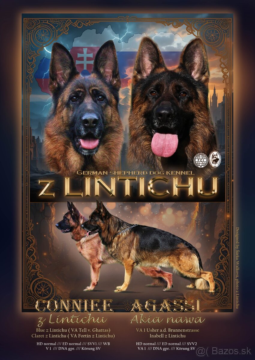 Nemecký ovčiak - 2