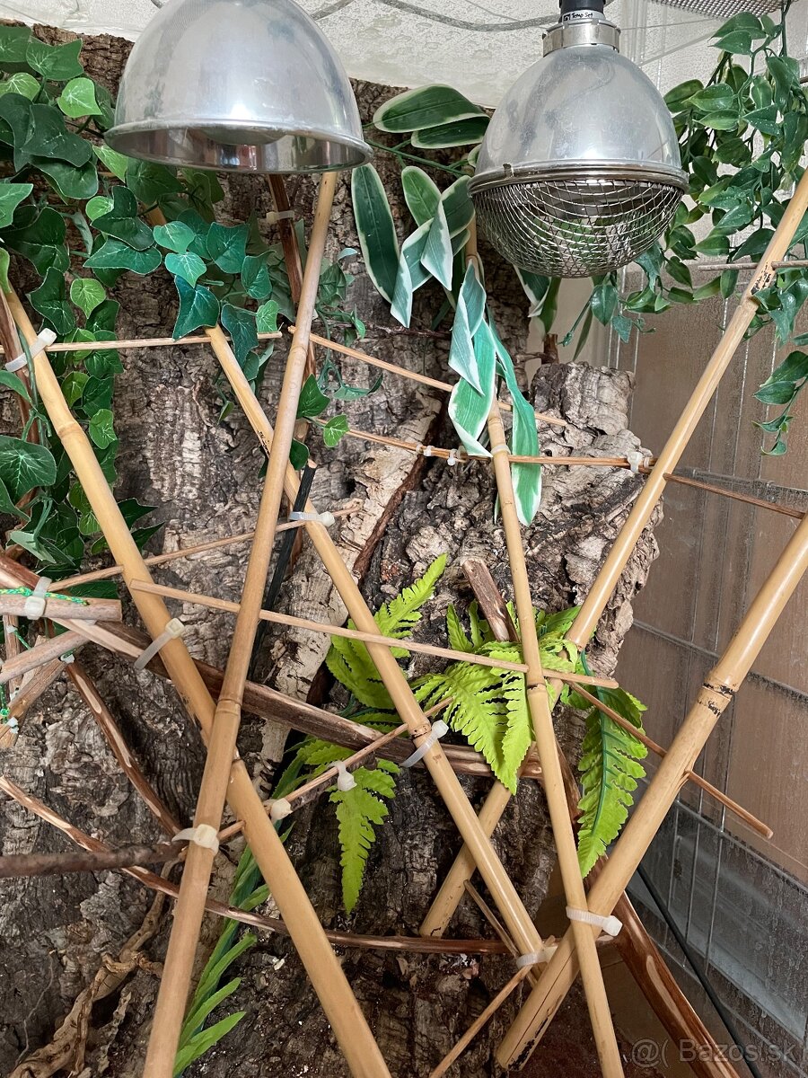 Terarium pre chameleona - 2