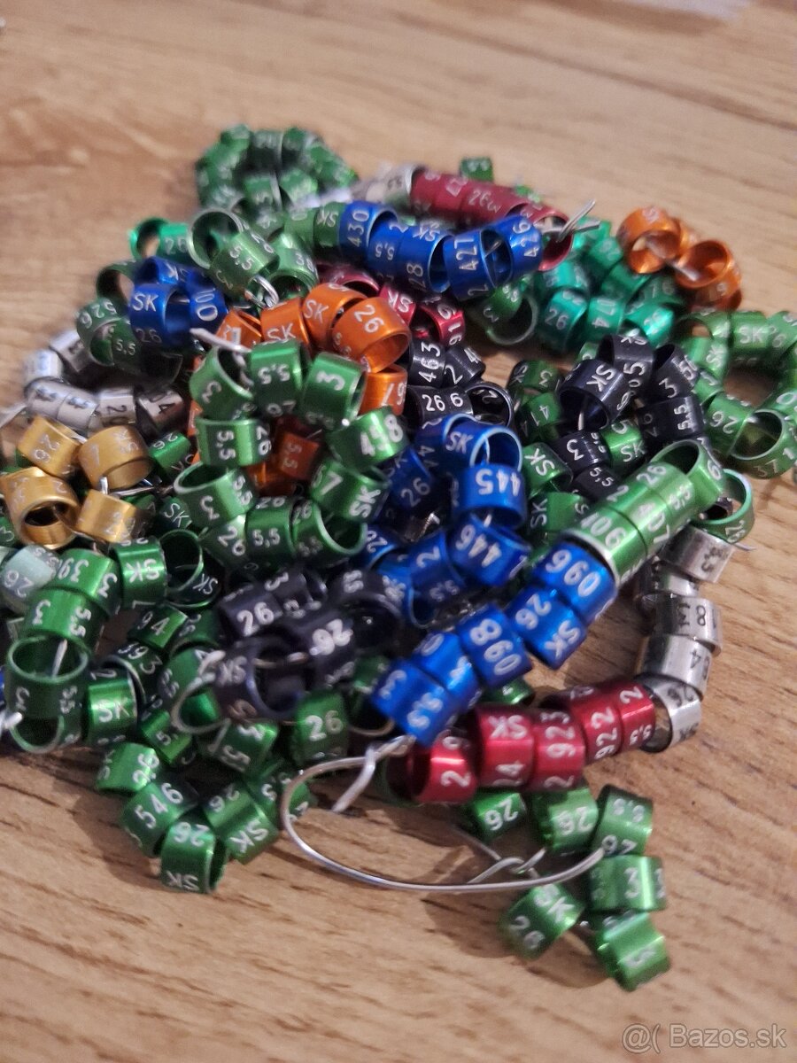 Kovové krúžky rok 2026 - 2