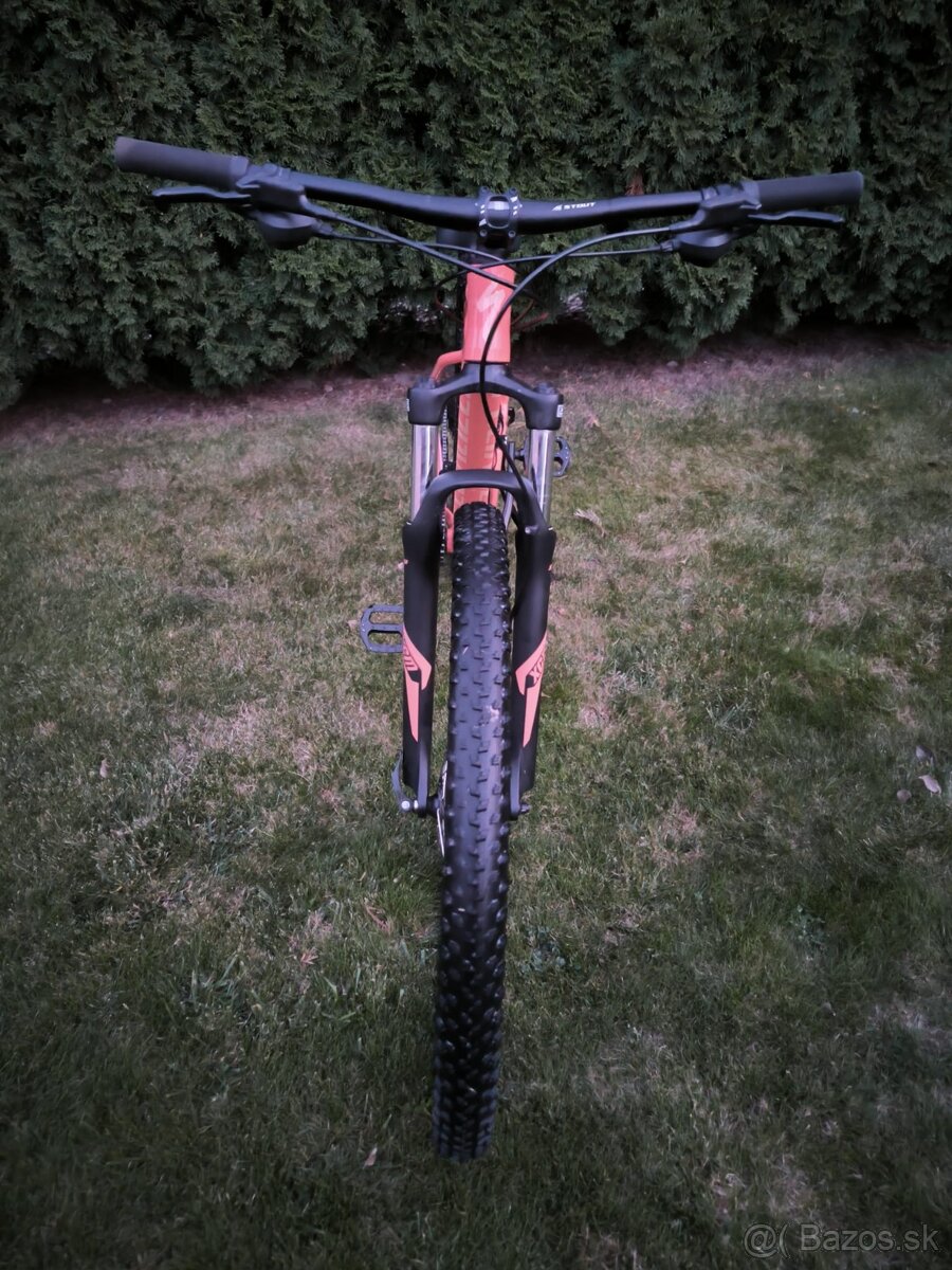 Specialized Rockhopper 29 - 2