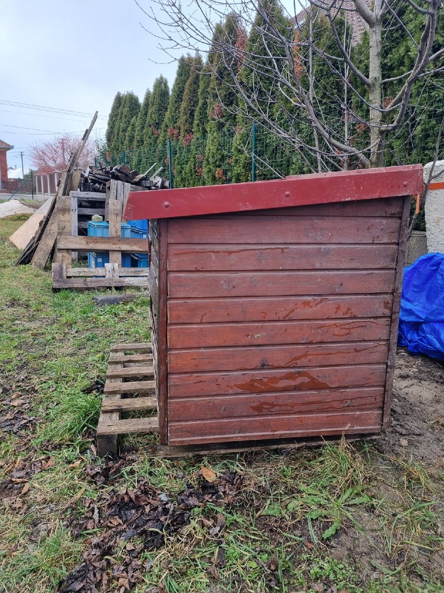 Veľká búda pre psa - 2