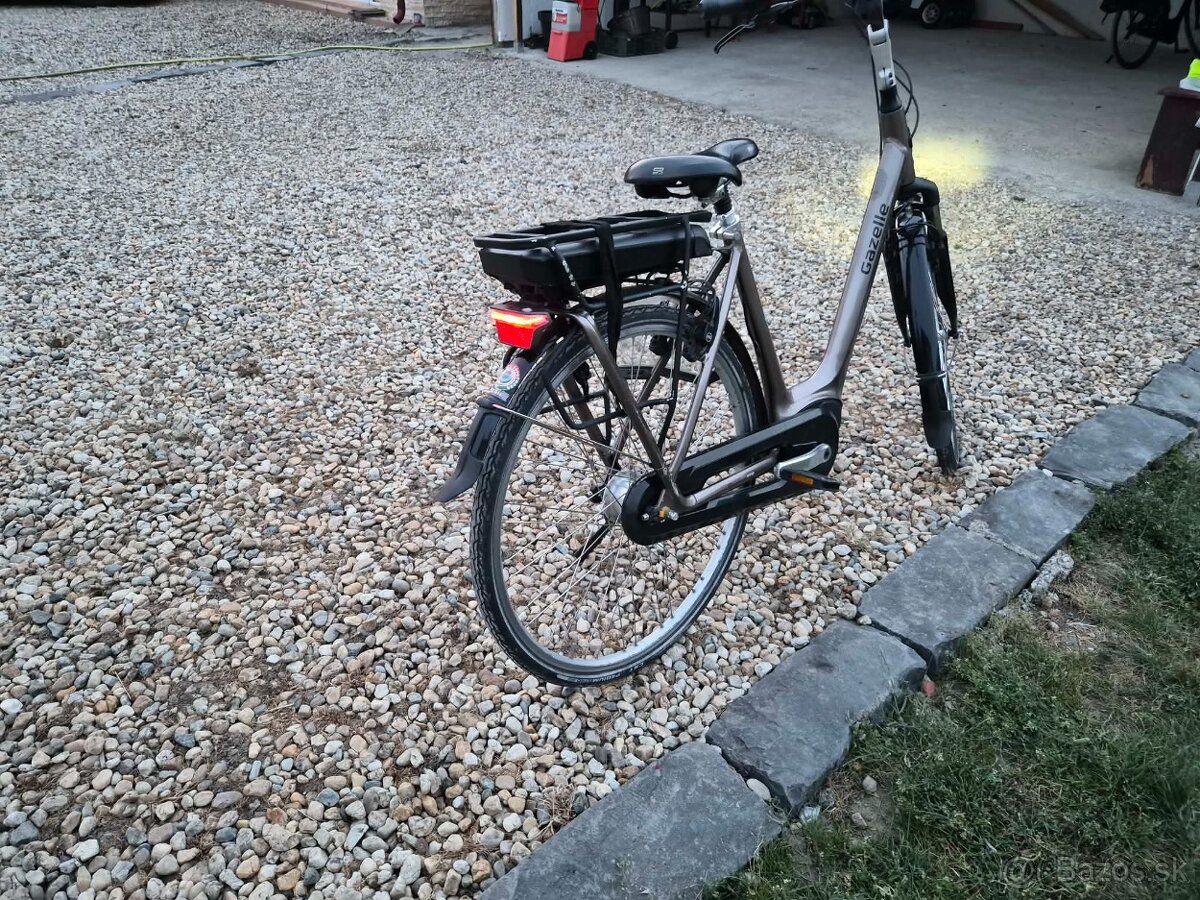 Gazelle - 2