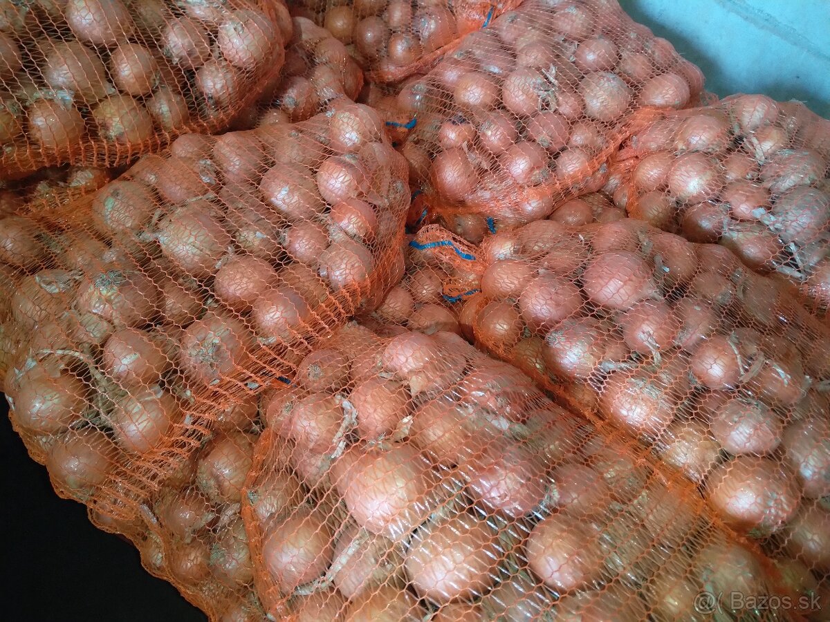 ZEMIAKY,CIBUĽA,KVASENÁ KAPUSTA - 2