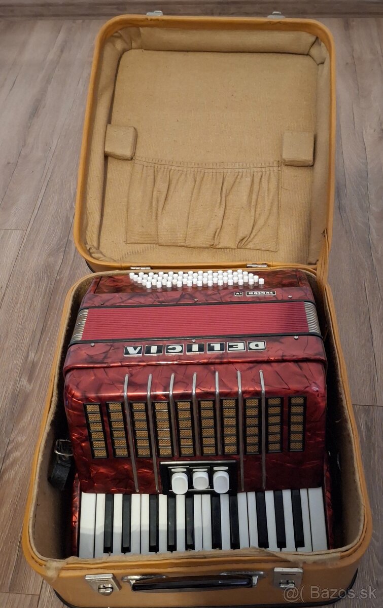 Akordeon 60 basový - 2