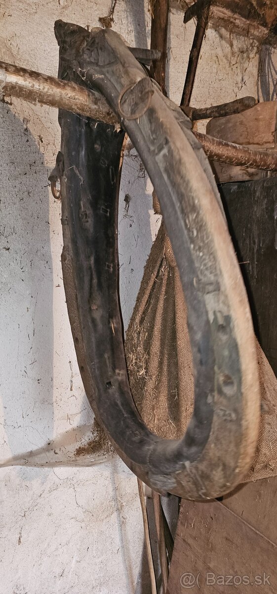 Chomunt na koňa - 2