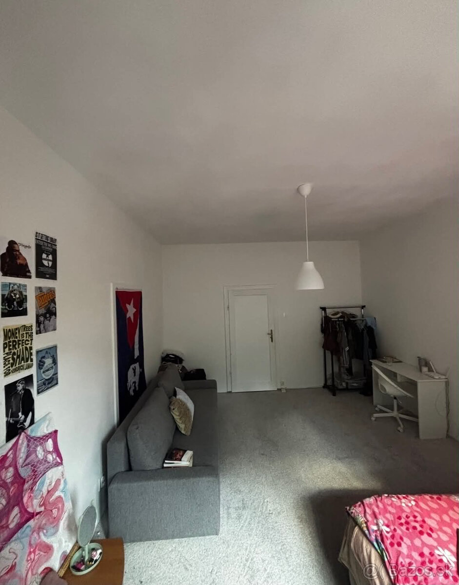 HĽADÁM SPOLUBÝVAJÚCEHO, 220€/MESIAC‼️, QUEER FRIENDLY - 2