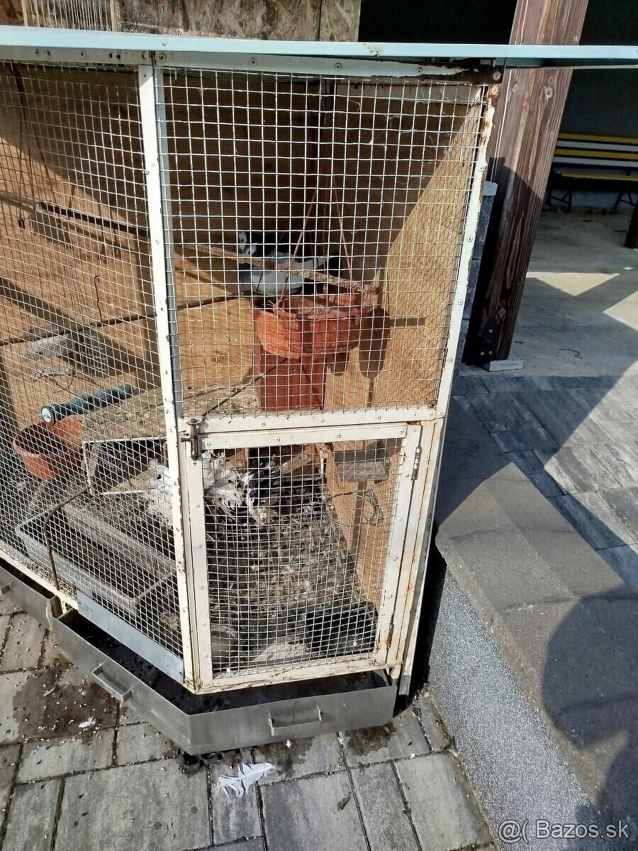 Klietka - voliera - 2