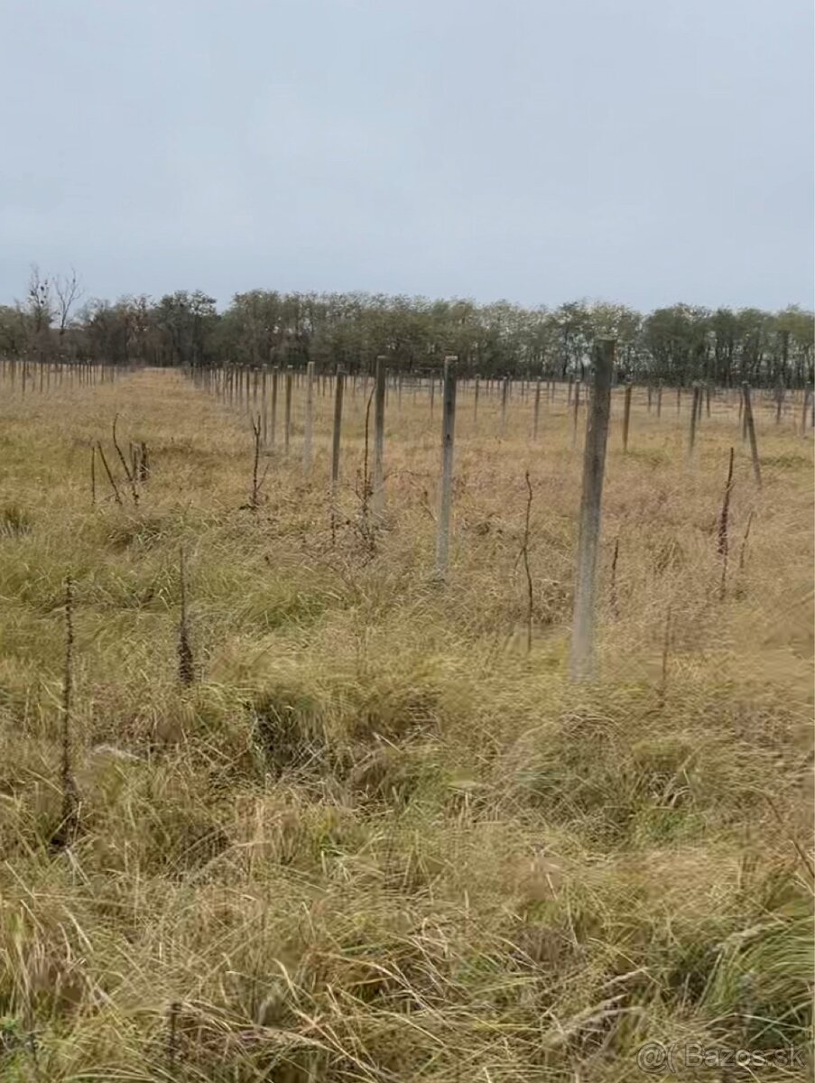 Darujem za odvoz - 2