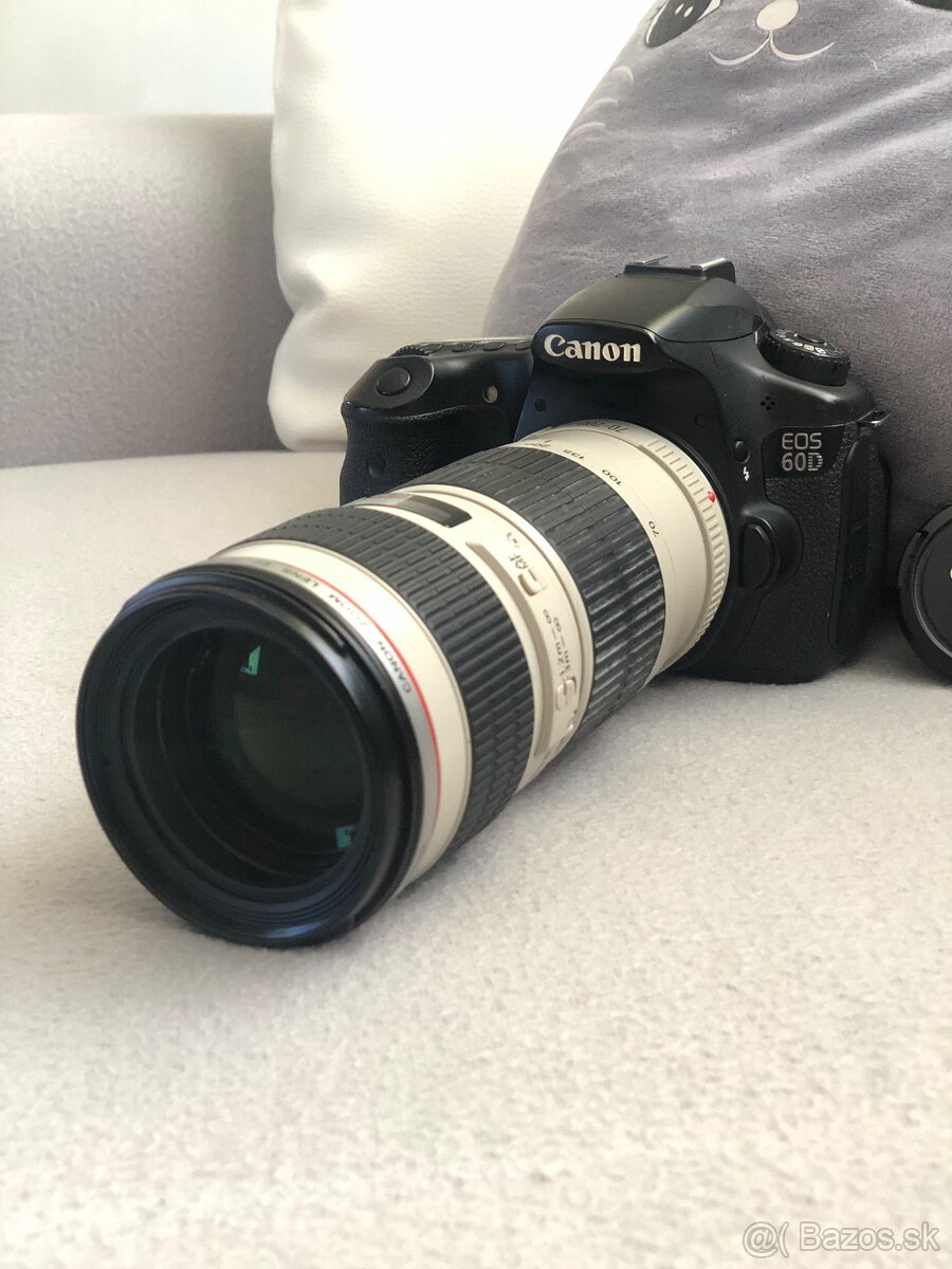 Canon 70-200 - 2