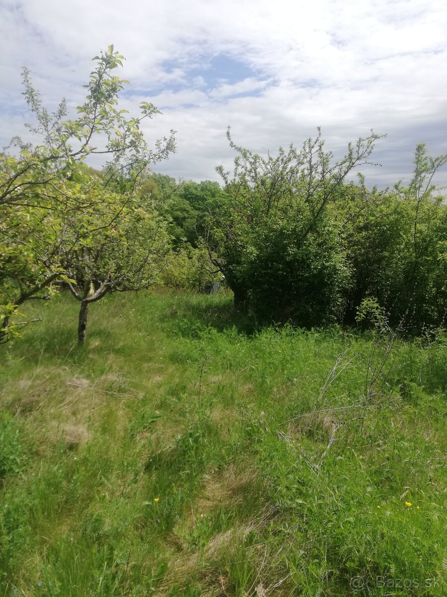 Predám záhradu - 2