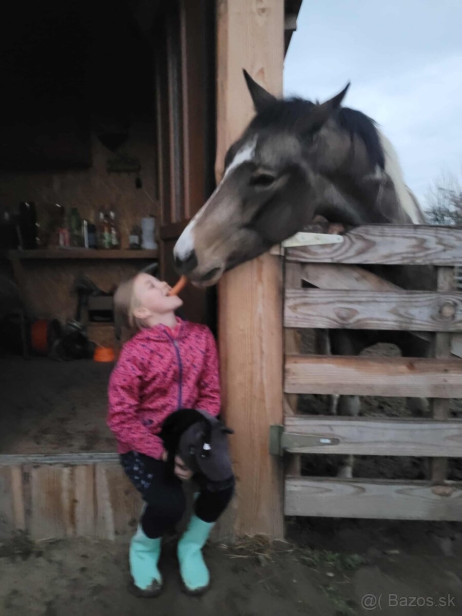 Jazdenie,vychádzky - 2