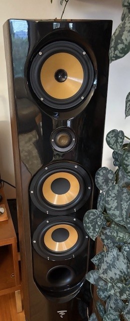 Focal Spectral 40th Anniversary Edition - 2